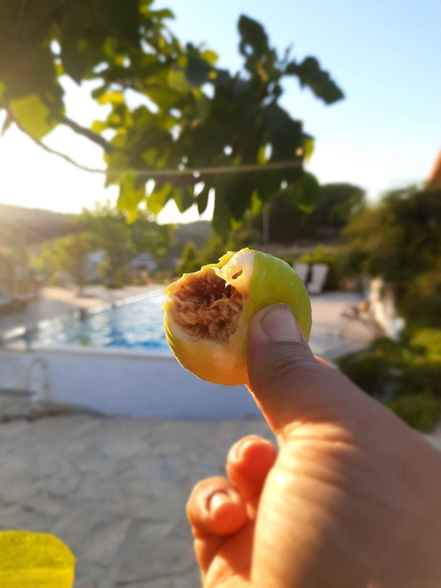 Ionia Guest House Aydin Zewnętrze zdjęcie