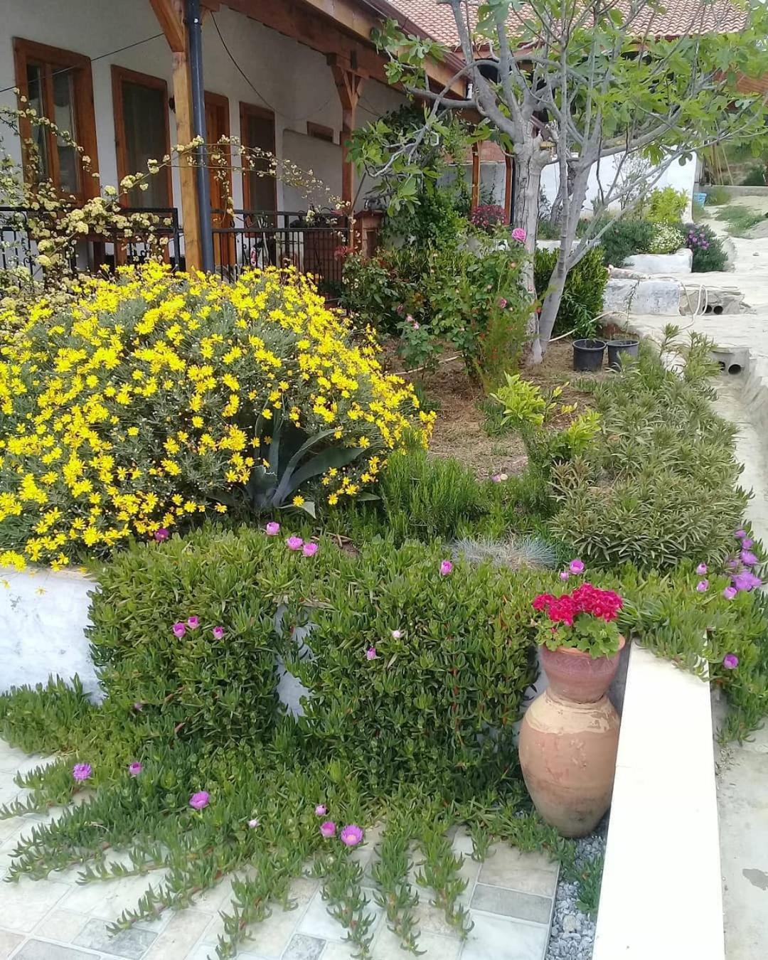 Ionia Guest House Aydin Zewnętrze zdjęcie