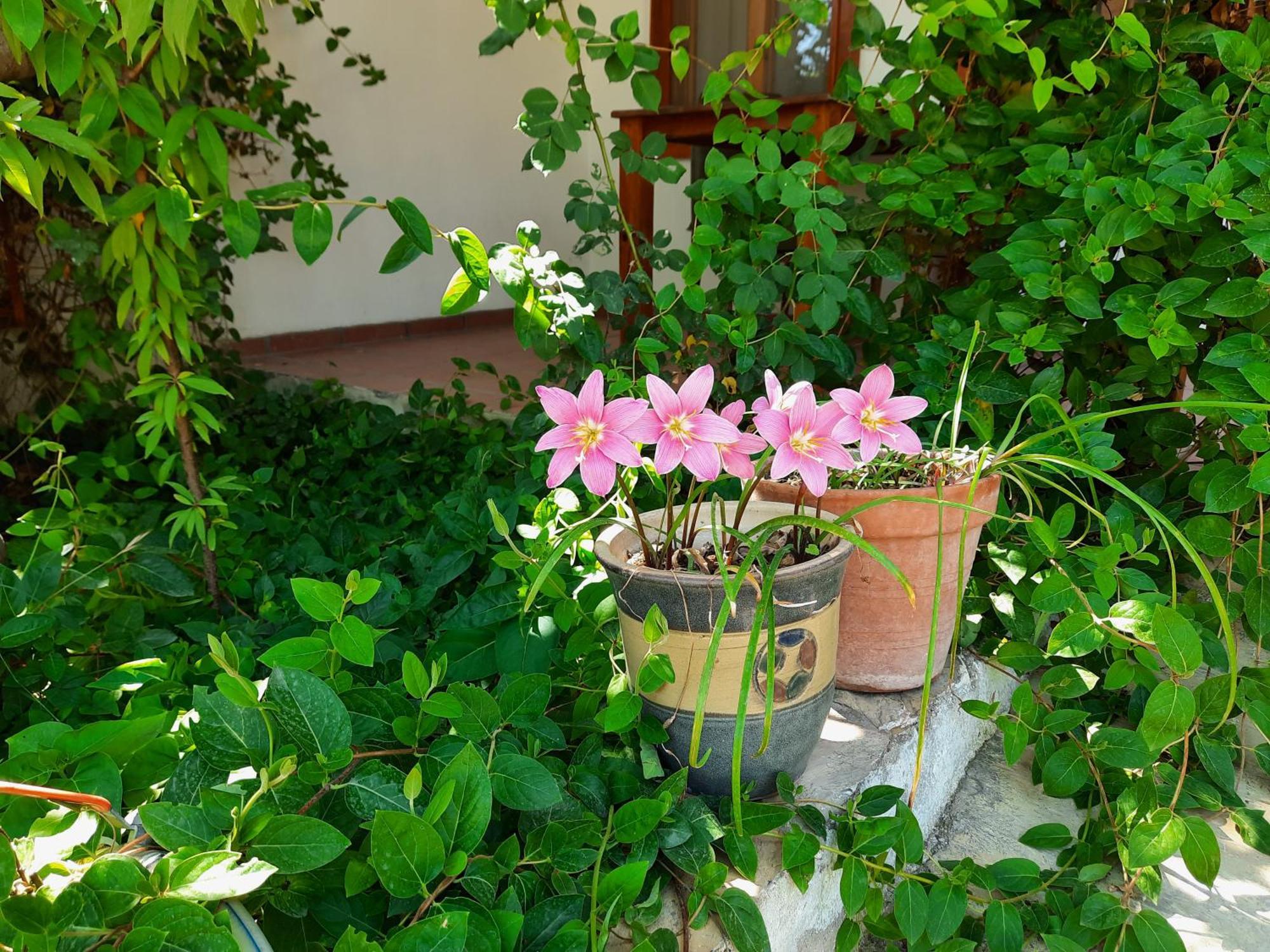 Ionia Guest House Aydin Zewnętrze zdjęcie