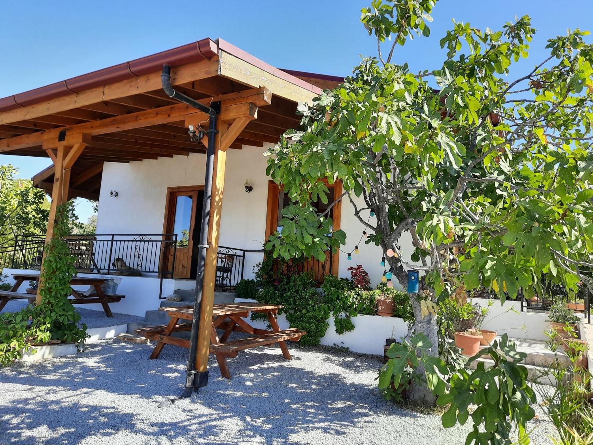 Ionia Guest House Aydin Zewnętrze zdjęcie