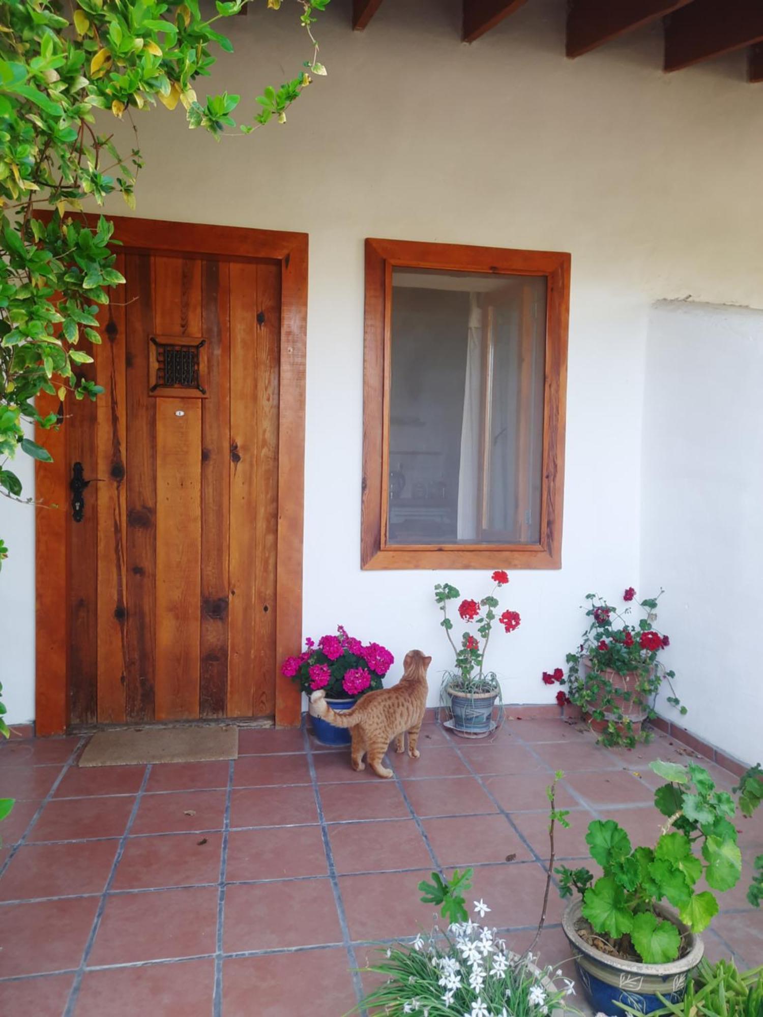 Ionia Guest House Aydin Zewnętrze zdjęcie