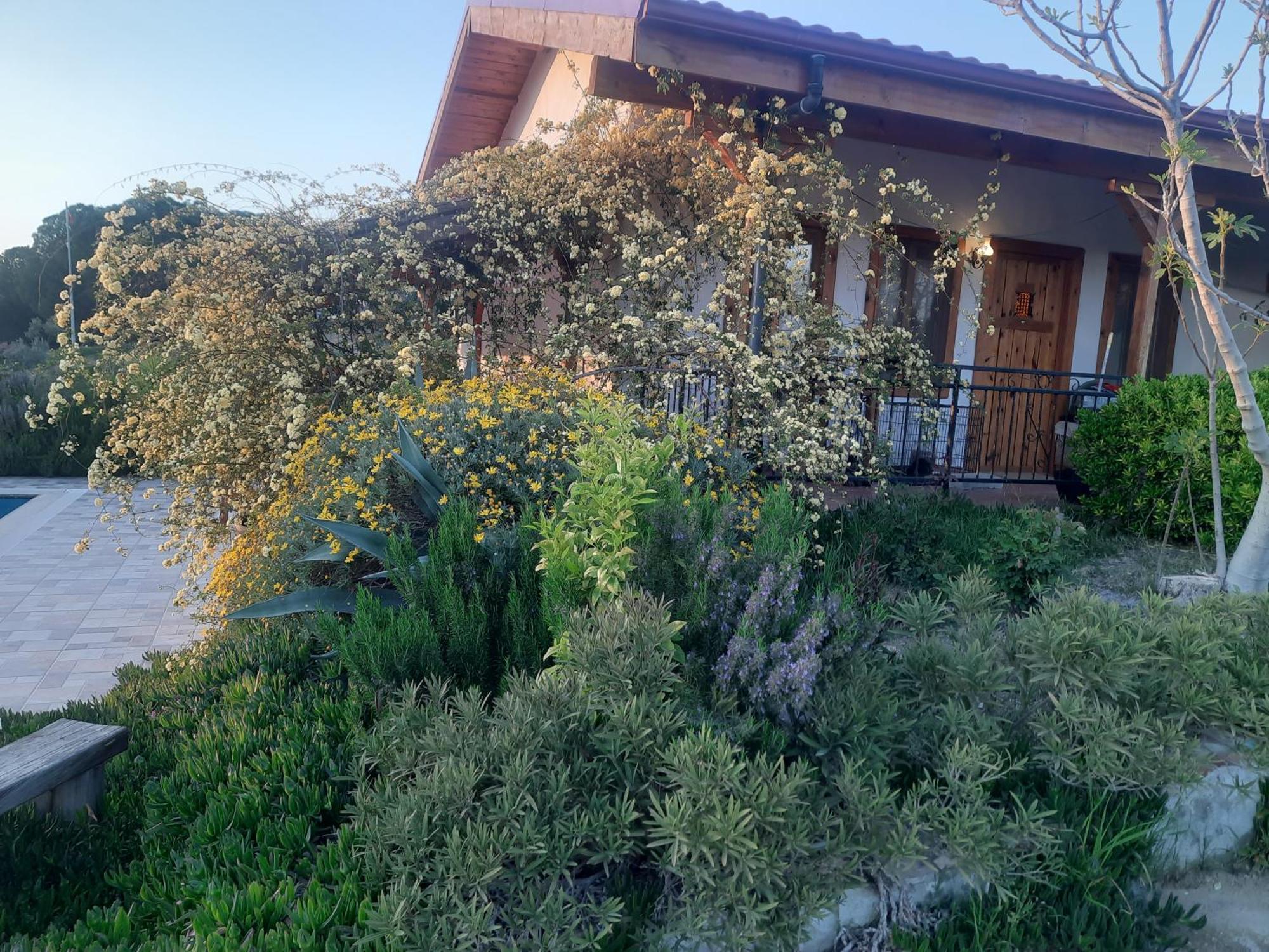 Ionia Guest House Aydin Zewnętrze zdjęcie