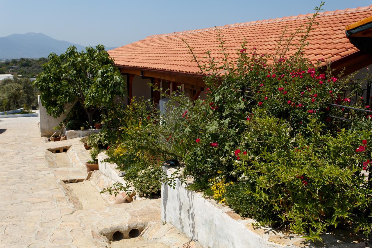Ionia Guest House Aydin Zewnętrze zdjęcie