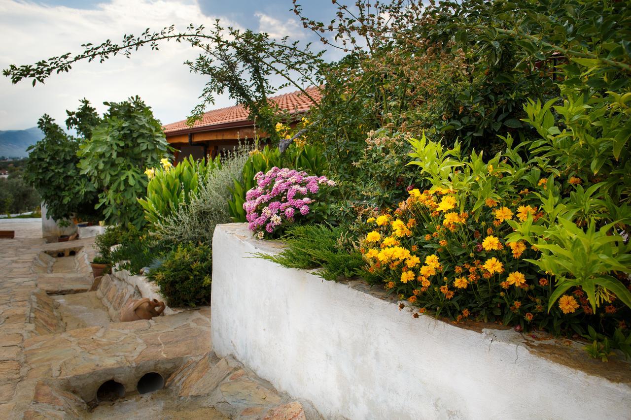 Ionia Guest House Aydin Zewnętrze zdjęcie